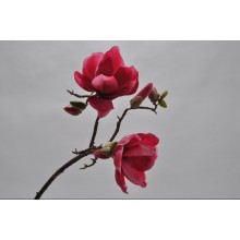 Изкуствено цвете магнолия 73см цвят циклама