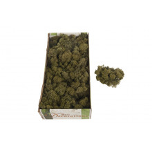 Декоративен мъх 50гр Reindermoss